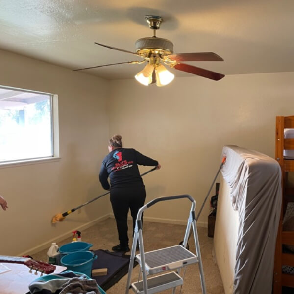 best Mold Removal In  Services Visalia